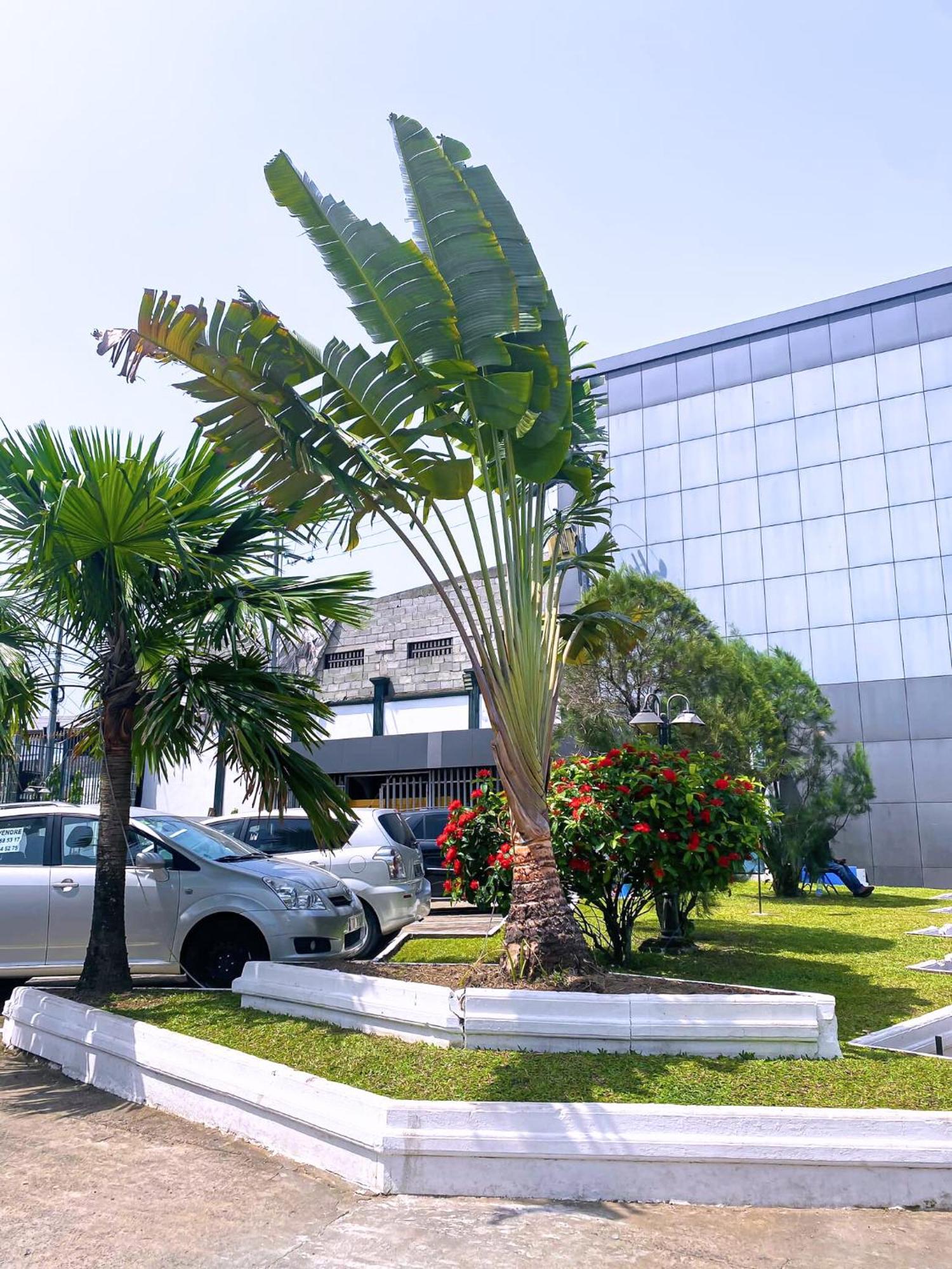 Hotel Vallée Des Princes Douala Extérieur photo
